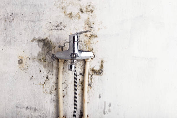 Waskom, TX Mold Remediation Company