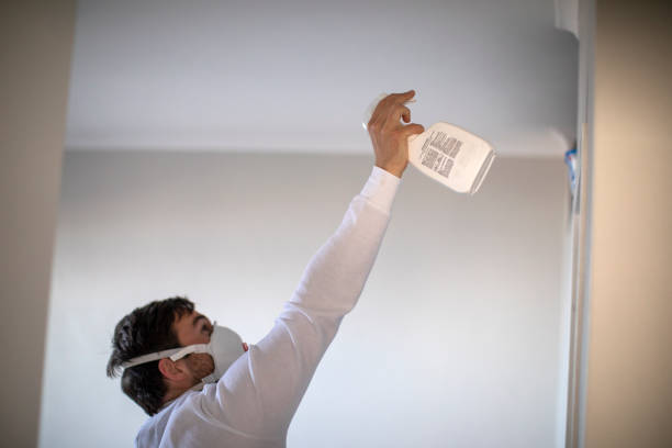 Professional Mold Remediation in Waskom, TX